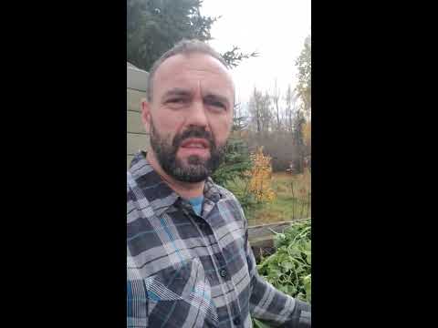 Compost Speedometer - How To Use A Compost Thermometer #shorts