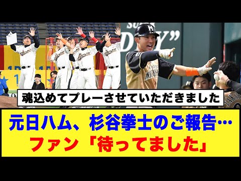 【毎年恒例】元日ハム、杉谷拳士のご報告…ファン「待ってました」#日ハム #杉谷拳士 #石橋貴明 #鈴木誠也