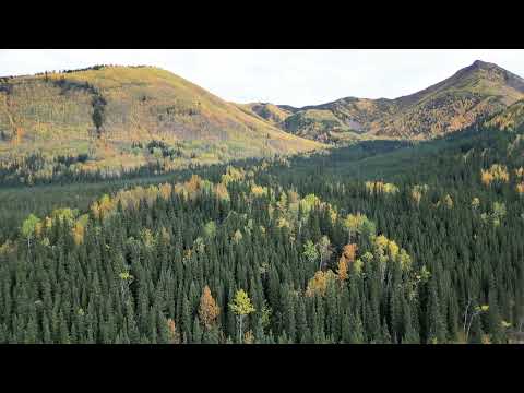 Aerial View for Racing River Bridge, BC Canada