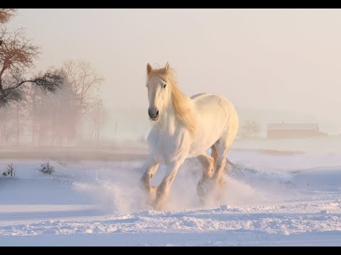 Доброго зимнего утра !☕️ Самое лучшее пожелание. Музыкальная открытка