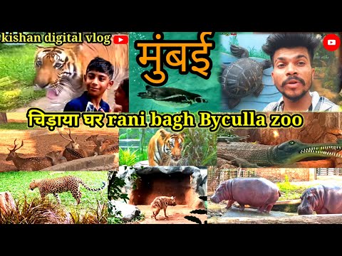 mumbai zoo byculla ।।मुंबई चिड़ियां घर।। रानी बाघ जू।। Rani Bagh zoo।। Byculla zoo