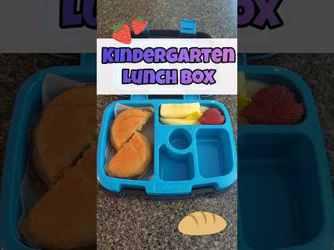 #schoollunchbox #shorts Kindergarten #bentgokids lunch