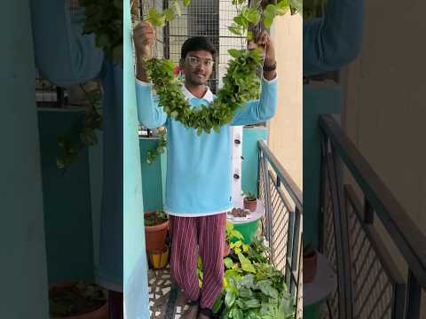 Let’s make Tulsi Mala for kannaya 🌿