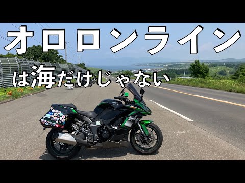 【No.857】🇯🇵 Kawasaki Ninja1000SX オロロンラインは海だけじゃなかった【北海道ツーリング】R232 along Japan Sea in Hokkaido