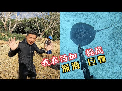 《汤加》第8天：我说这上百斤的深海巨物是我打的，你们信吗？#旅行 #旅行攻略 #环球旅行 #渔猎#汤加