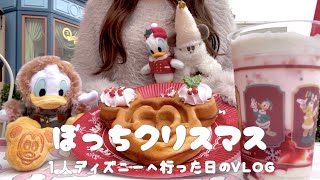 ぼっち☃️┊ディズニークリスマスに行った日のvlog 🎄♥️┊初日✨🕯️┊ひとりディズニー❄️