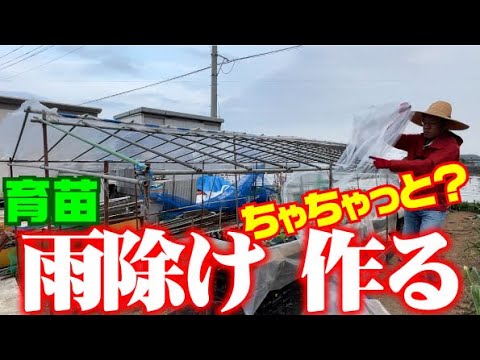 【ひろちゃん親方のちゃちゃっと簡単は・・？】サイズやら・・長さやら・・【雨よけ】【育苗】