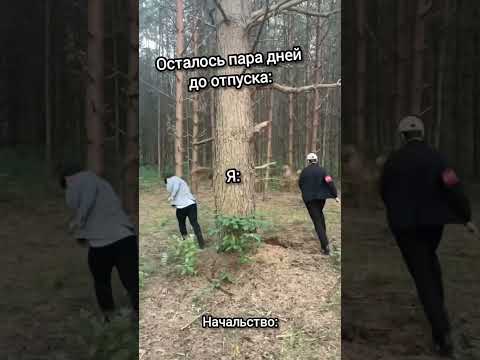 Готовим клип к выпуску 👻