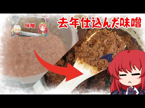 【ゆっくり料理】味噌を開ける【番外編】