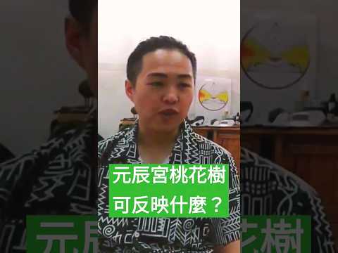 元辰宮的桃花樹可反映現實中的什麼事情？ #自己話事 #阿娜 #曾悟真 #身心靈 #阿卡西 #臼井靈氣 #希塔治療 #元辰宮 #桃花樹 #人緣 #姻緣運 #財運