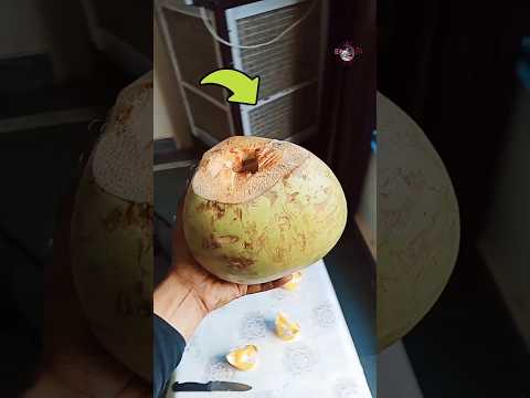 Frozen  Coconut 🥥🌴 ORB 🤯🥵 || Coconut को बनाया बर्फ़ 🧊 ❌ || #coconut #nariyal #water