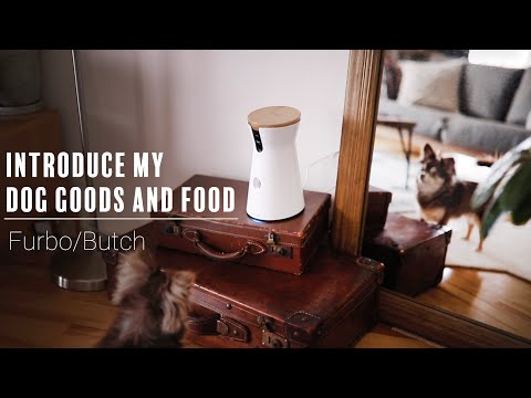 【Furbo】防犯機能にもなる愛犬への愛用品についての紹介です／Butch／ペット用品／ドッグカメラ／防犯