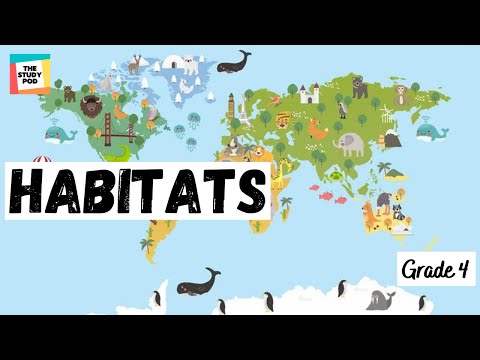 HABITATS | SCIENCE | GRADE 4 | The Study Pod