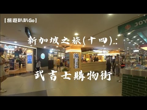 【旅遊趴趴Go】新加坡之旅(十四)：武吉士購物街