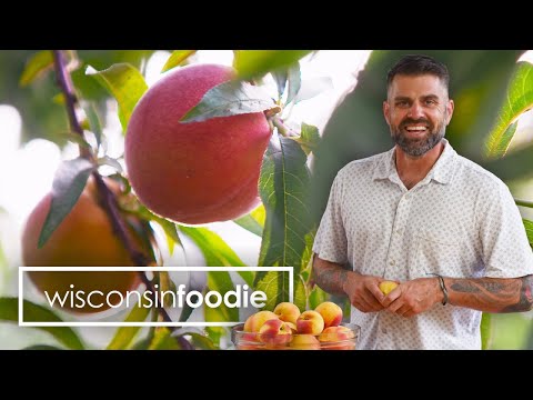 Peaches | Tree Ripe Fruit Co. | Pearson Farms