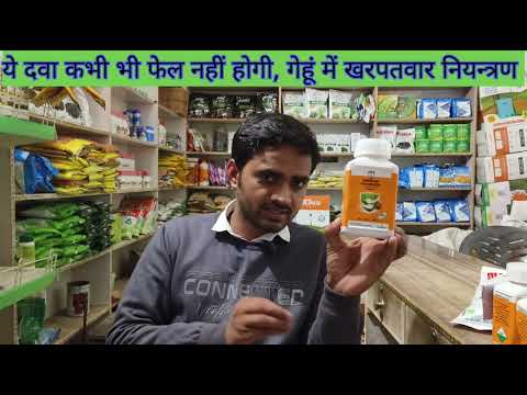 गेहूं में सही खरपतवार नियन्त्रण दवा | गेहूं की श्री राम DCM की दवा  | खरपतवार नियन्त्रण | गेहूं #