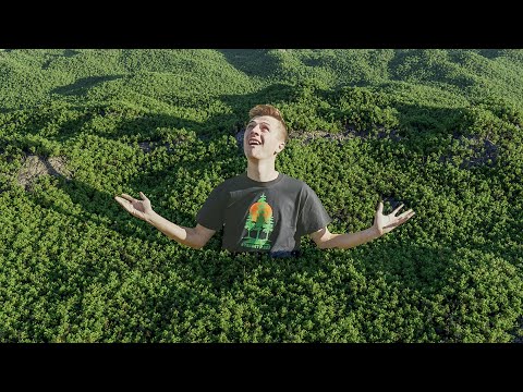 VFX Artist Creates 20,000,000 Trees with CGI