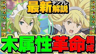 木環境1位！アイズ×リオンで新億兆攻略！交換可能なバケモンキャラ誕生しましたｗｗ【パズドラ】