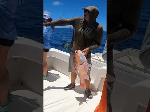 Customers arm locks up from big red snapper