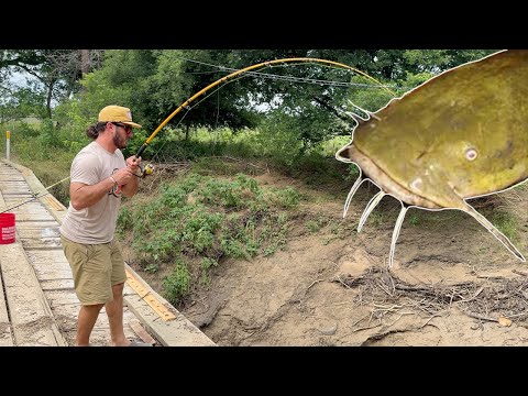 Cat Fishing A Creek Off A BRIDGE {Catch Clean Cook}