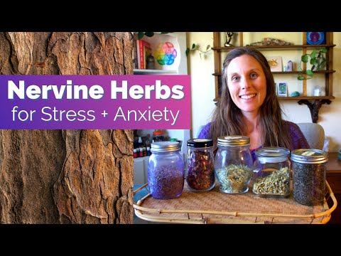 Nervine Herbs for Stress and Anxiety