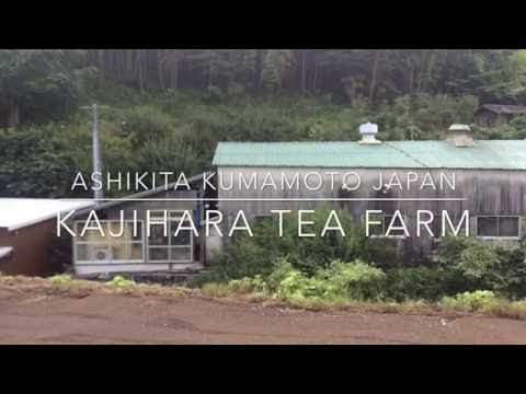 【４０秒動画】製茶場　ロケーション（お茶のカジハラ　九州 熊本県芦北町　２０１６年０６月１５日）