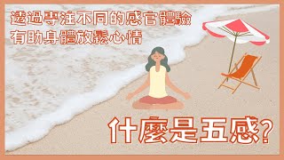 《 西松跨代網上數碼台》EP08 | 什麼是五感？