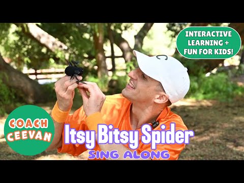 Itsy Bitsy Spider Sing Along - Kids Music and Nursery Rhymes - Happy Halloween!