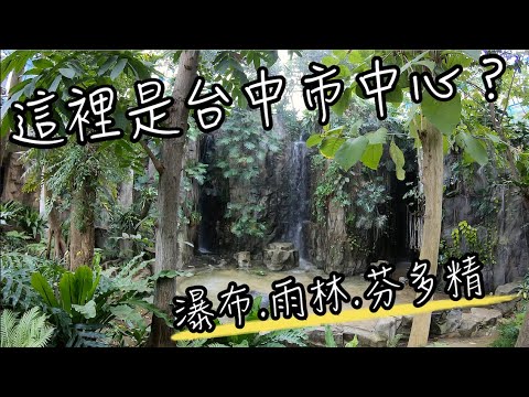 台中植物園熱帶雨林溫室 | 你確定這裡真的在台中市中心? | 帶孩子探索神秘的熱帶雨林,體驗生物多樣性.