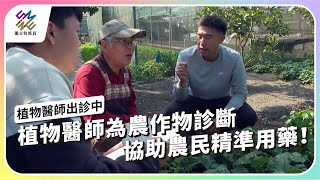 植物醫師為農作物診斷，協助農民精準用藥｜植物醫師出診中｜公視 #獨立特派員 第840集 20240221