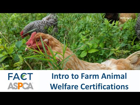 Intro to Farm Animal Welfare Certifications