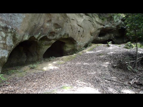 国の史跡 泉福寺洞穴でウグイスの囀り