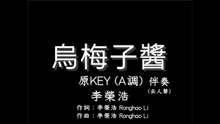 李榮浩【烏梅子醬】原調(A KEY) -伴奏-純音樂-去人聲- Ronghao Li -The Dark Plum Sauce -A Key-instrumental