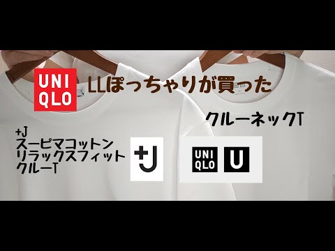 【ユニクロ購入品】毎年買い替えるお気に入り白T👕初めての+Jメンズ白T👕LLぽっちゃりが着比べて見た。