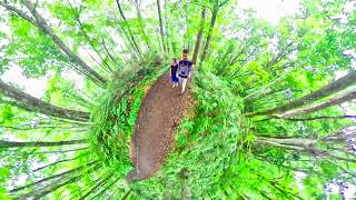 2019夏・日本東北・第二集白神山地．弘前．星野奧入瀨溪流酒店