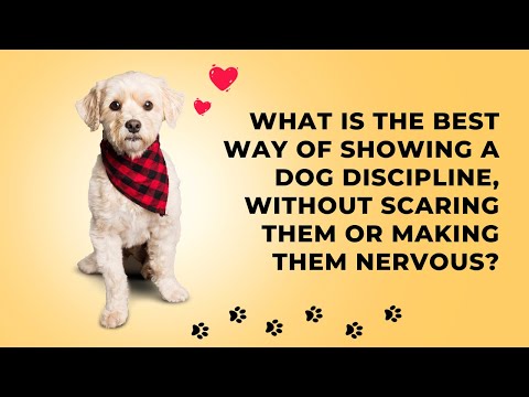 Nervous dog guide