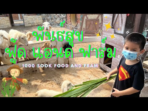 พันธ์สุข ฟู้ดแอนด์ฟาร์ม ชะอำ 1000sook food&fram Cha-Am|น้องเนสbyพาเที่ยวEP.32#พันธ์สุขฟาร์ม#ฟาร์ม