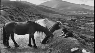 Henri Cartier Bresson  The Decisive Moment