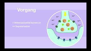 Wirkung von Botulinumtoxin an der Synapse