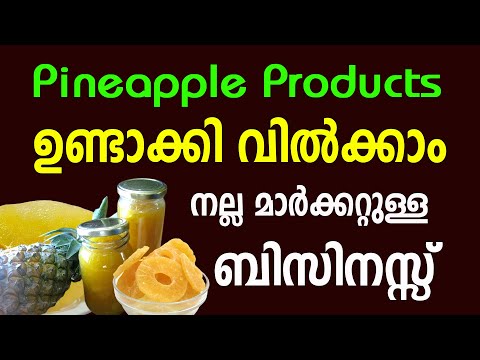 അധികം ആരും ചിന്തിക്കാത്ത ലാഭമുള്ള ബിസിനസ്സ്  Pineapple Products Business Idea Malayalam