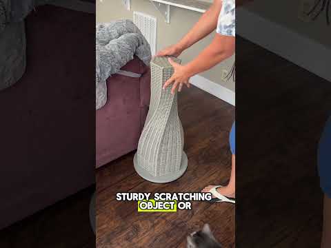 Cats Scratching Furniture | Two Crazy Cat Ladies #cats #cattips