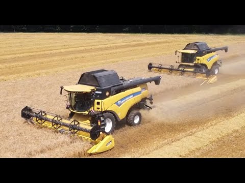 Getreideernte 2021 mit 2 New Holland Dreschern