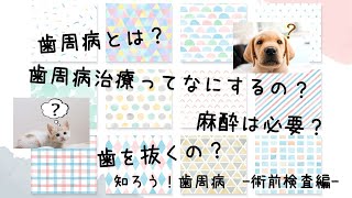 【歯周病とは？】麻酔前の術前検査について