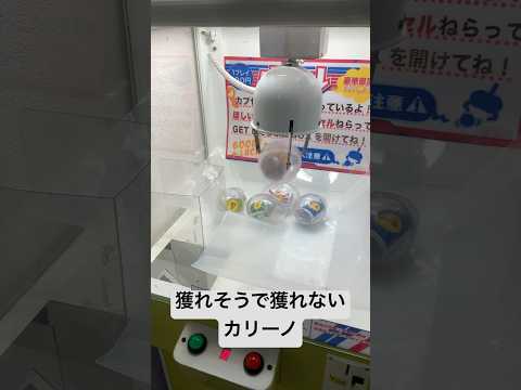 獲れそうで獲れないカリーノ #確率機 #クレゲ #クレーンゲーム