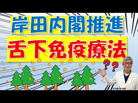 岸田内閣の花粉症対策「舌下免疫療法」とは？どんな人が対象？大久保公裕先生がやさしく解説