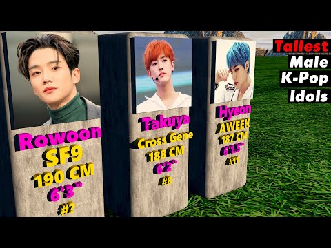 Tallest Male K-Pop Idols / K-pop Male idols with the tallest height