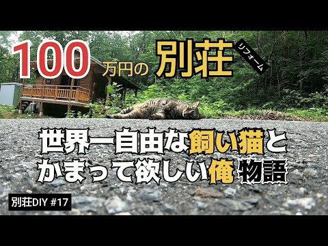 【別荘DIY #17】触らせてくれない別荘猫！／貯めた小遣い100万円で築41年190坪土地付き別荘買った！