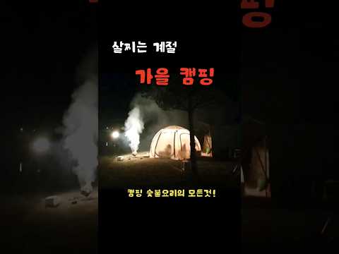 가을캠핑_캠핑은 먹으러 가는거지~ 캠핑먹방! #캠핑 #캠핑요리 #가을캠핑