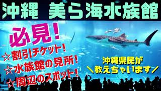 【沖縄ちゅら海水族館】沖縄県民の私が見所や割引チケット、周辺の観光スポット、グルメ情報、おすすめホテルをご紹介します。沖縄旅行・沖縄観光にお役立て下さい！