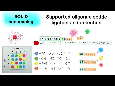 SOLID sequencing | Supported oligonucleotide ligation and detection